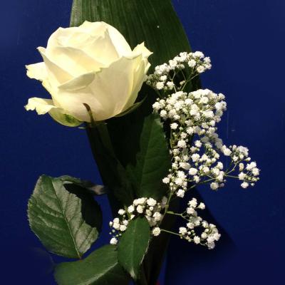 Réf: 4134 Boutonnière