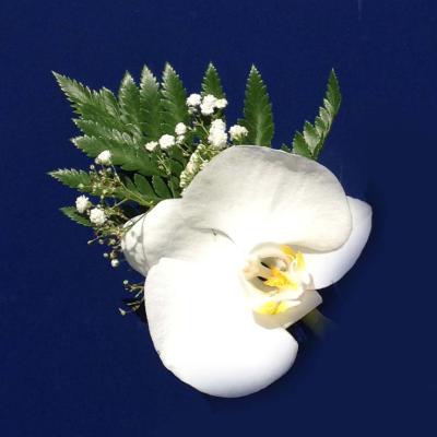 Réf: 4136 Boutonnière